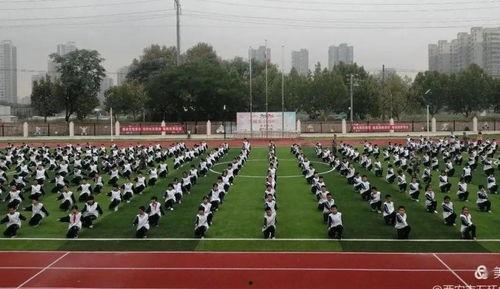 我们队伍向太阳  2010年,追逐太阳的队伍，梦想与挑战的征程